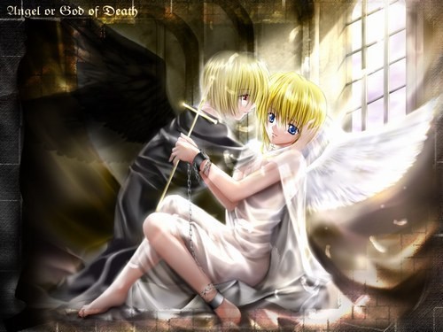 manga ange 7